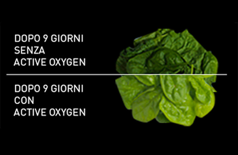 Cibi freschi come il primo giorno fino a 9 giorni