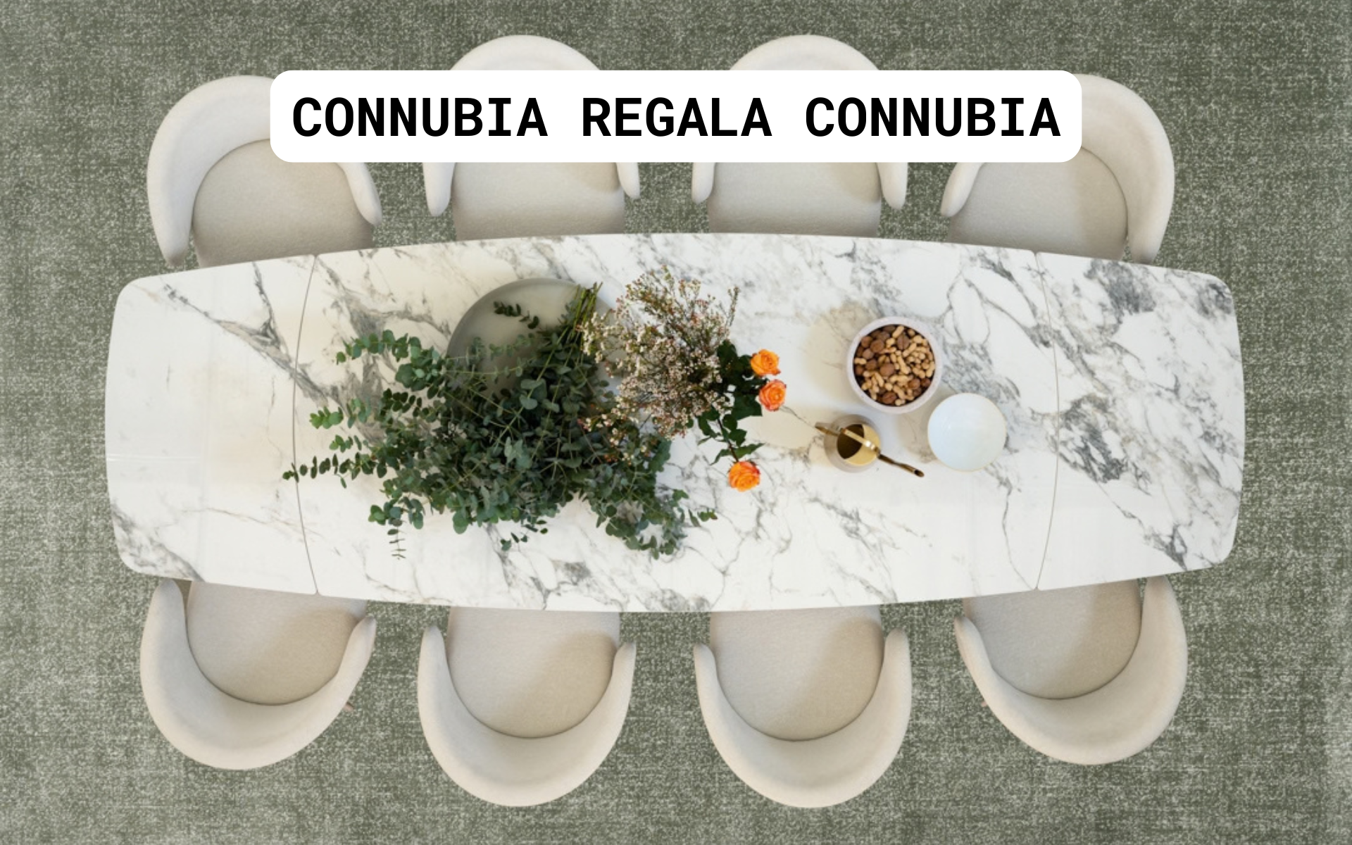 Connubia Regala Connubia