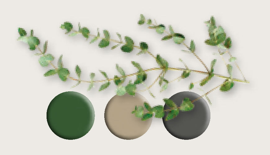 bnb design