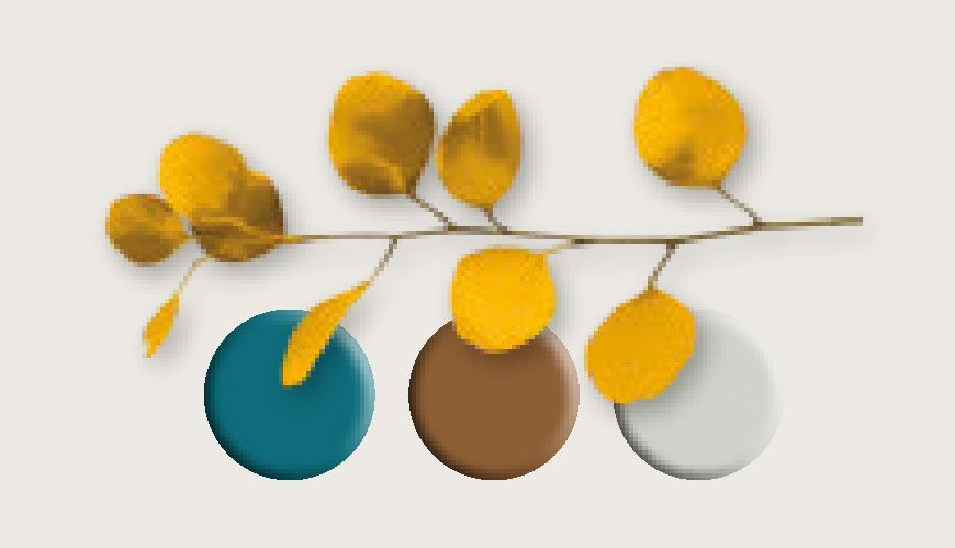 bnb design