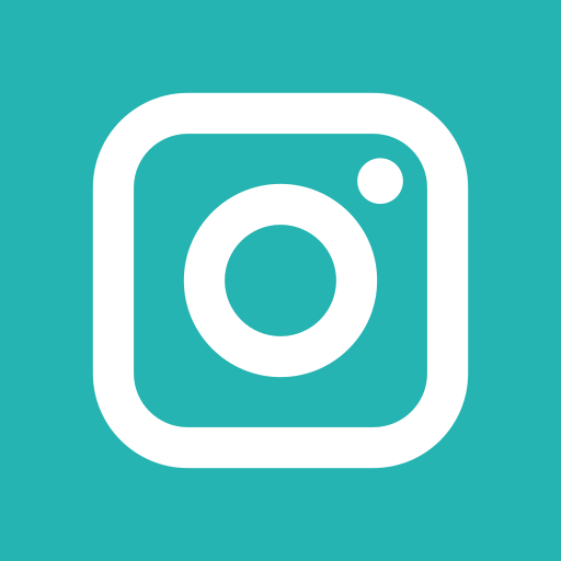 icona instagram